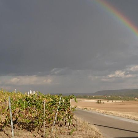 شقة Weingut Will Und Wuerz Lemberger Schwaigern المظهر الخارجي الصورة