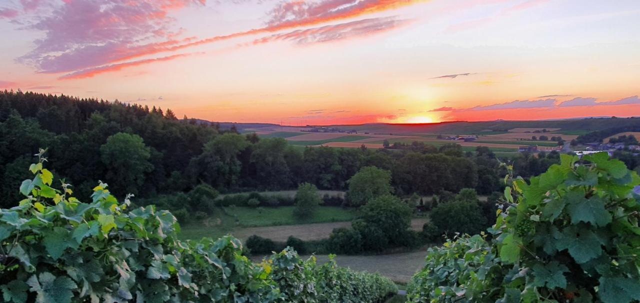 شقة Weingut Will Und Wuerz Lemberger Schwaigern المظهر الخارجي الصورة