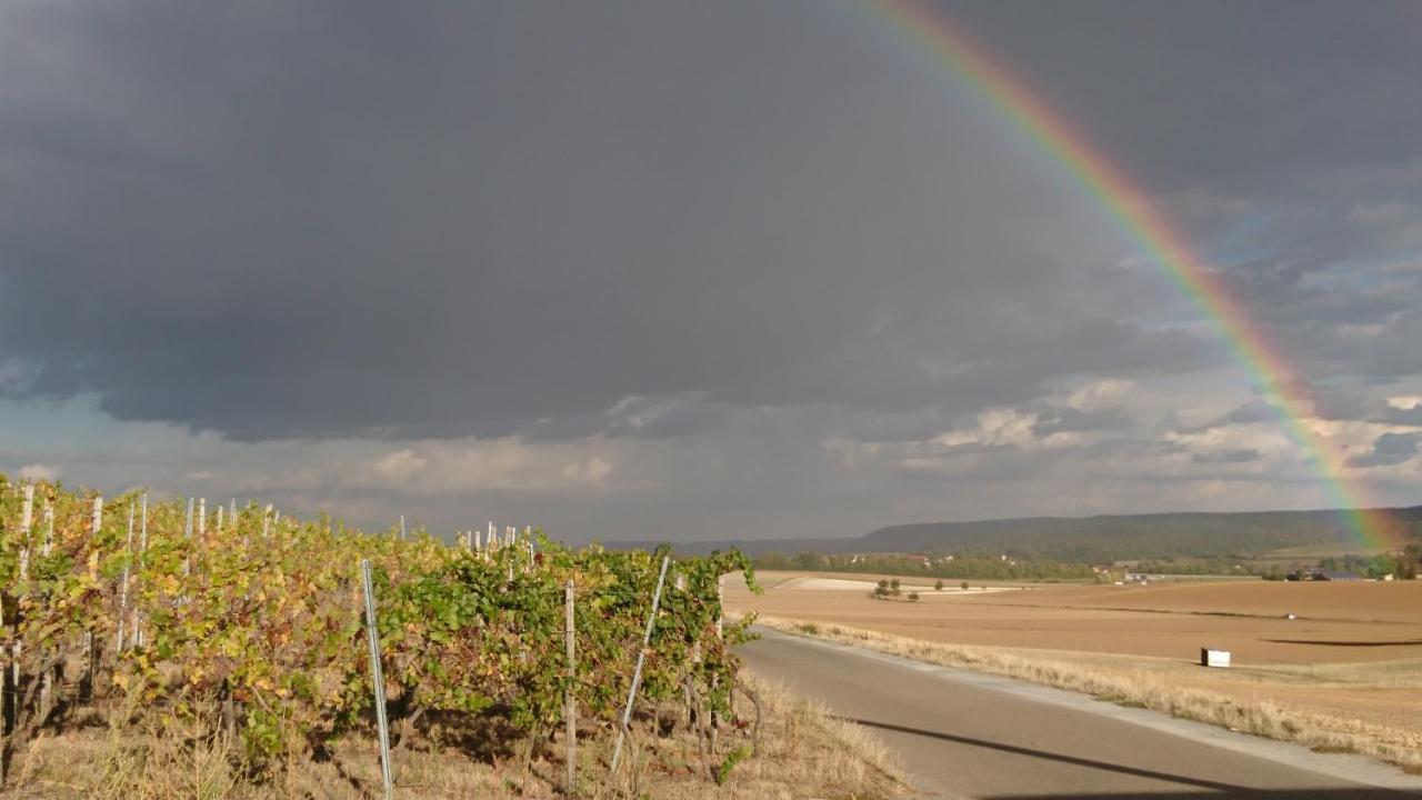 شقة Weingut Will Und Wuerz Lemberger Schwaigern المظهر الخارجي الصورة