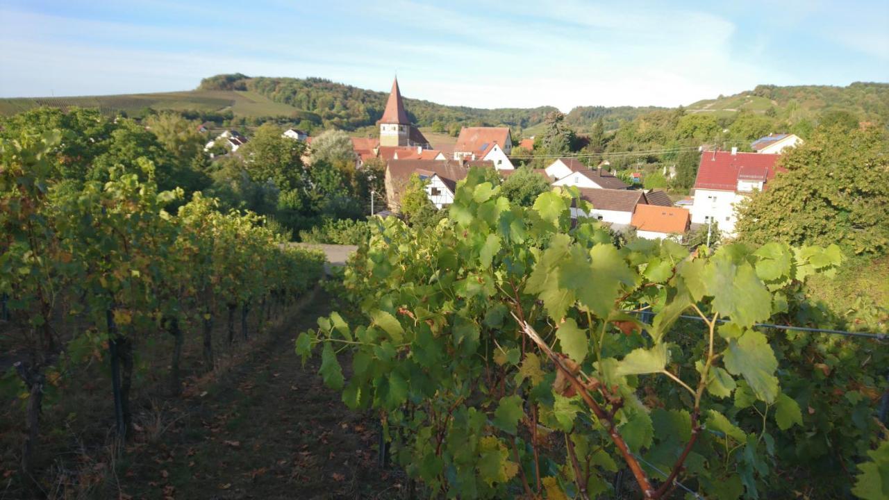 شقة Weingut Will Und Wuerz Lemberger Schwaigern المظهر الخارجي الصورة